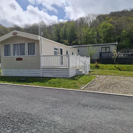 The Tiddler - Plot 101, Woodlands Lodge Retreat, New Quay, West Wales Llanina Bagian luar foto
